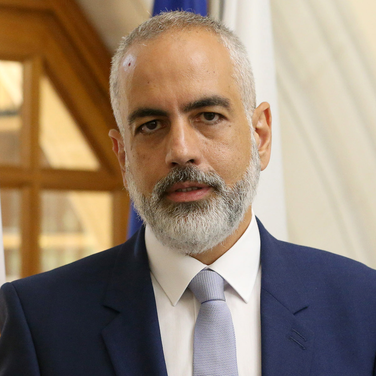 Βασίλης ΔΗΜΗΤΡΙΑΔΗΣ