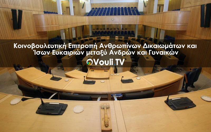 Κοινοβουλευτική Επιτροπή Ανθρωπίνων Δικαιωμάτων | Vouli report - 30/11/2020