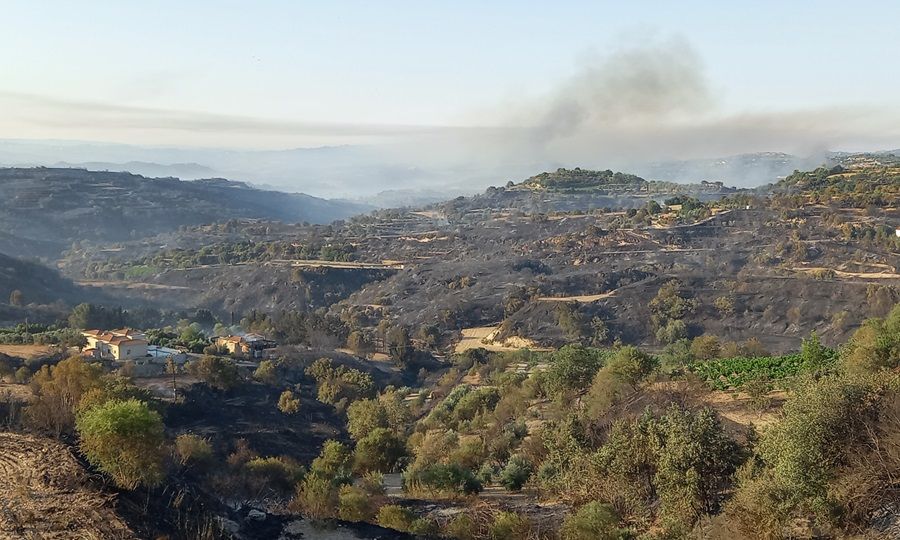 Η πυρκαγιά και η «προδοσία» της Αροδαφνούσας